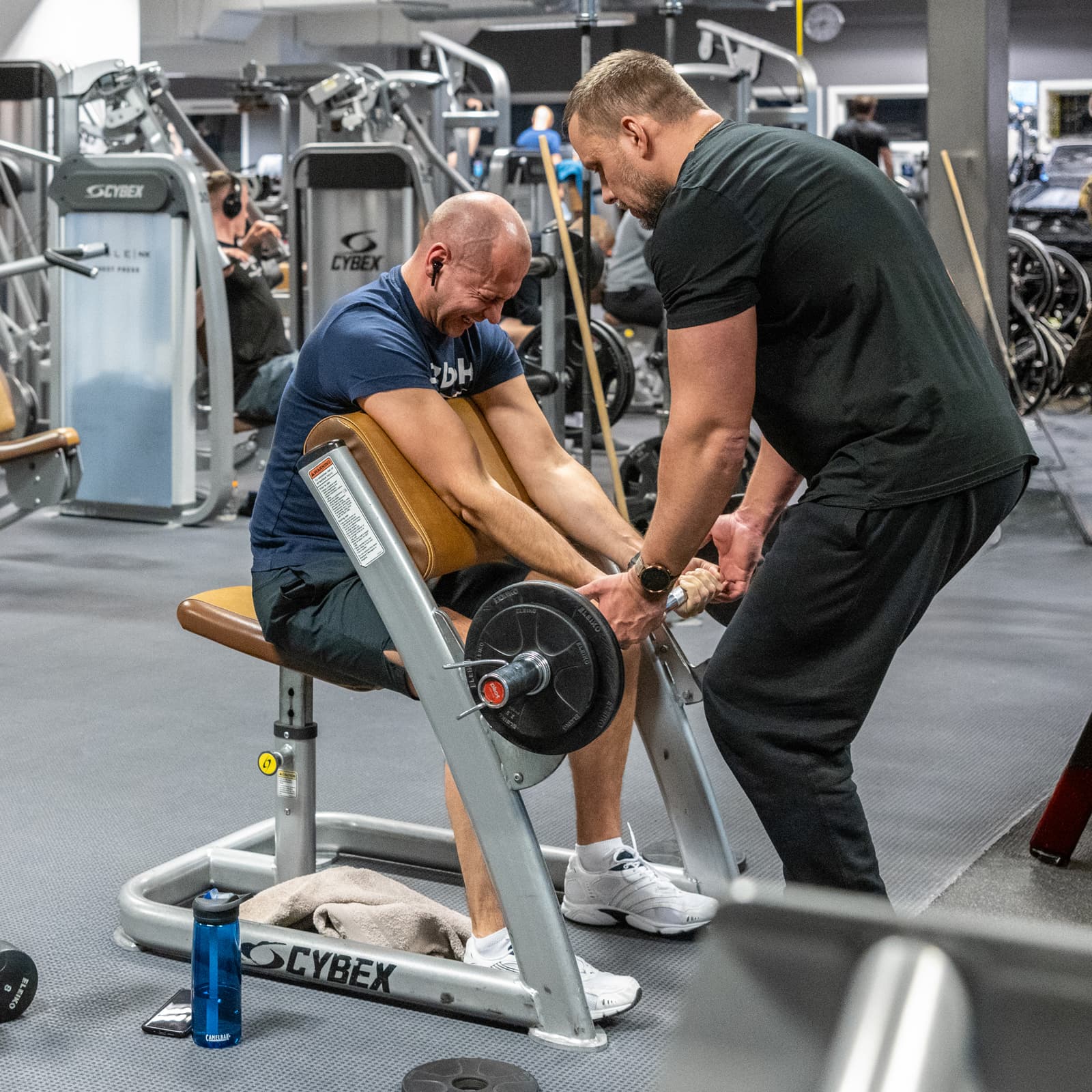 Bilde i bildegalleri