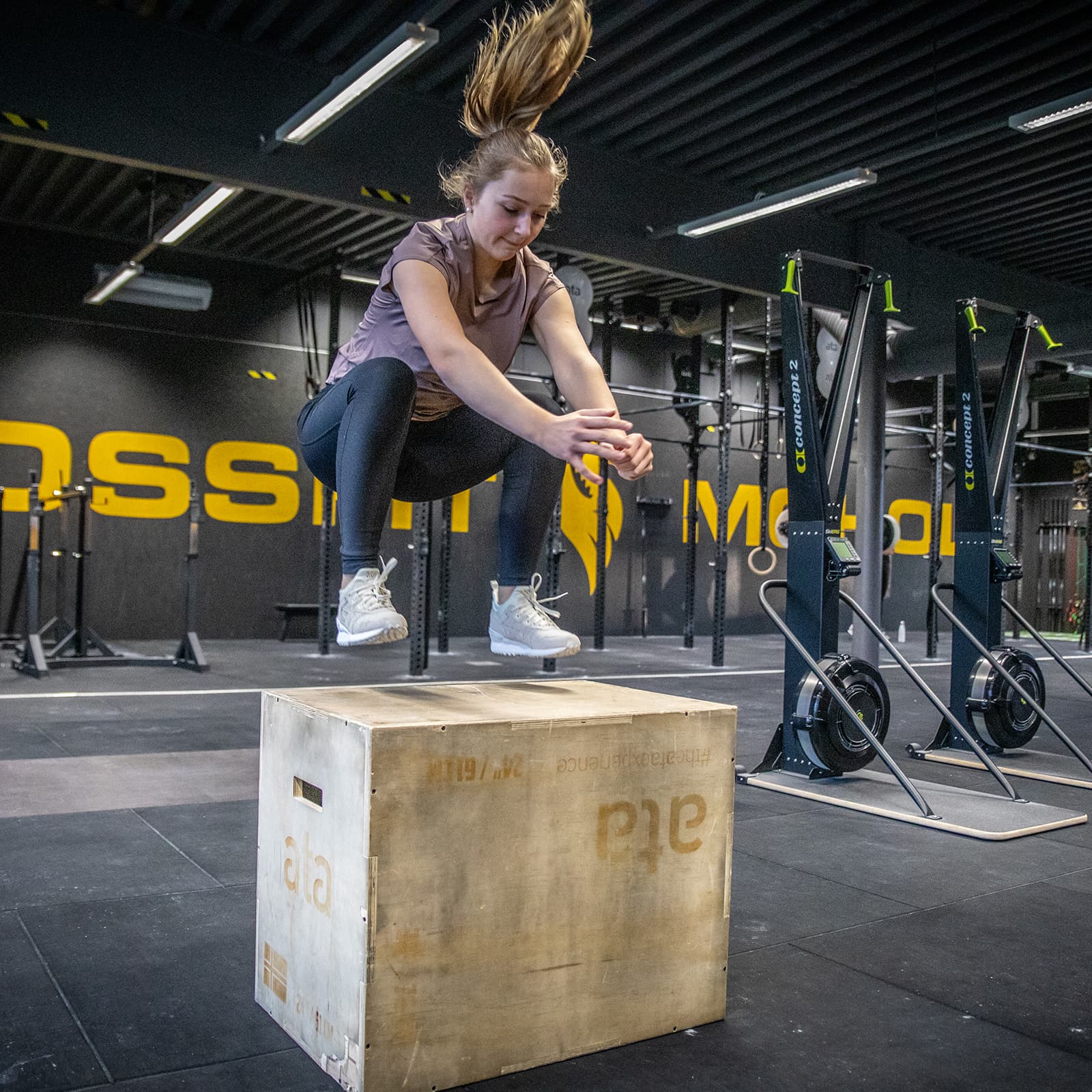 Bilde i bildegalleri