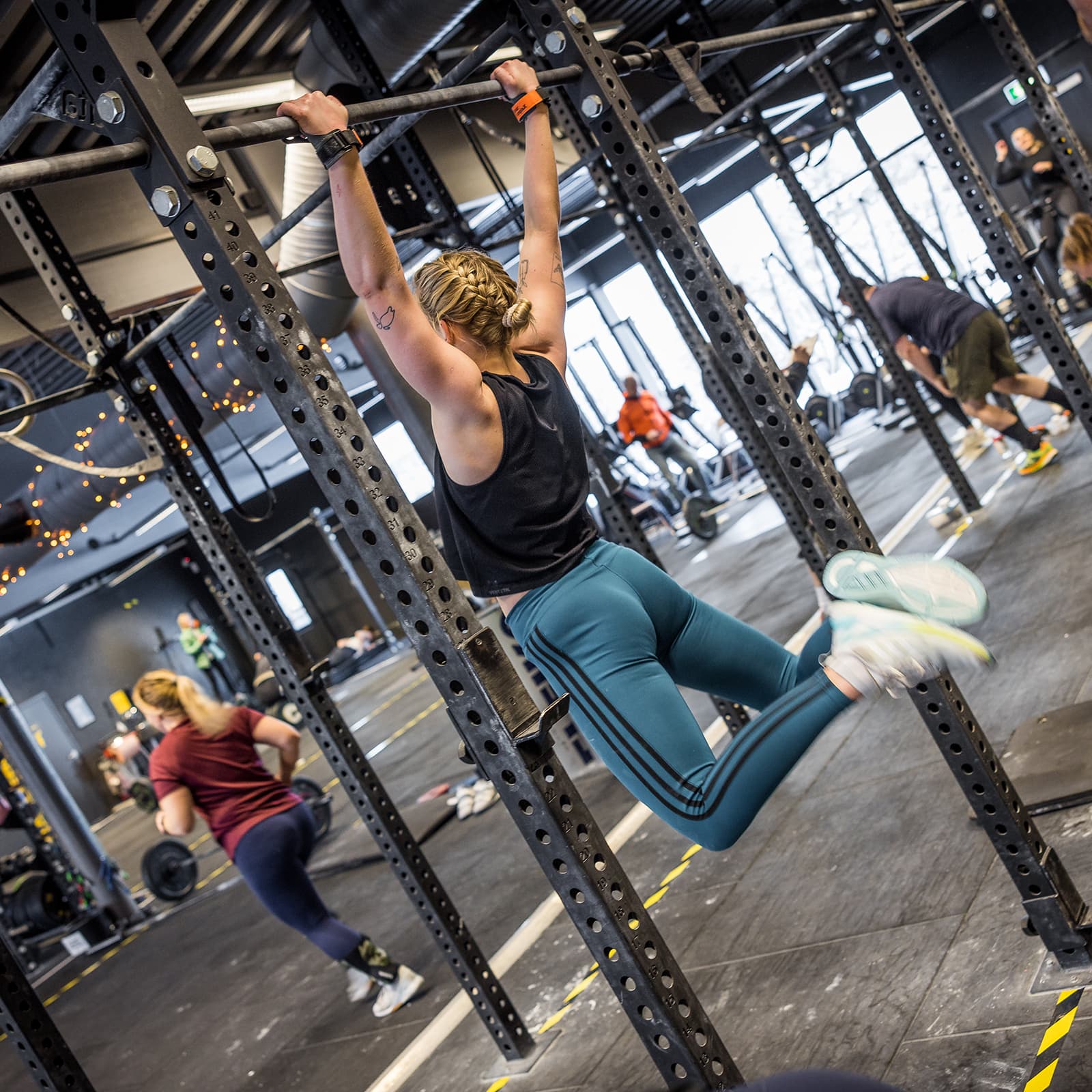 Bilde i bildegalleri