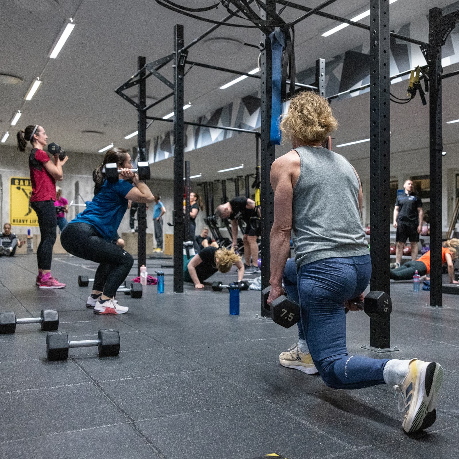 Bilde i bildegalleri