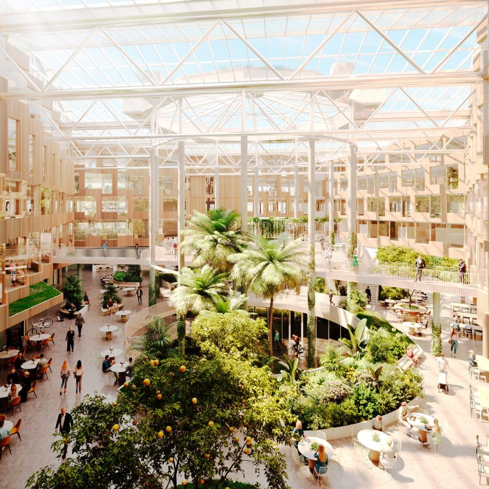 Bilde i bildegalleri