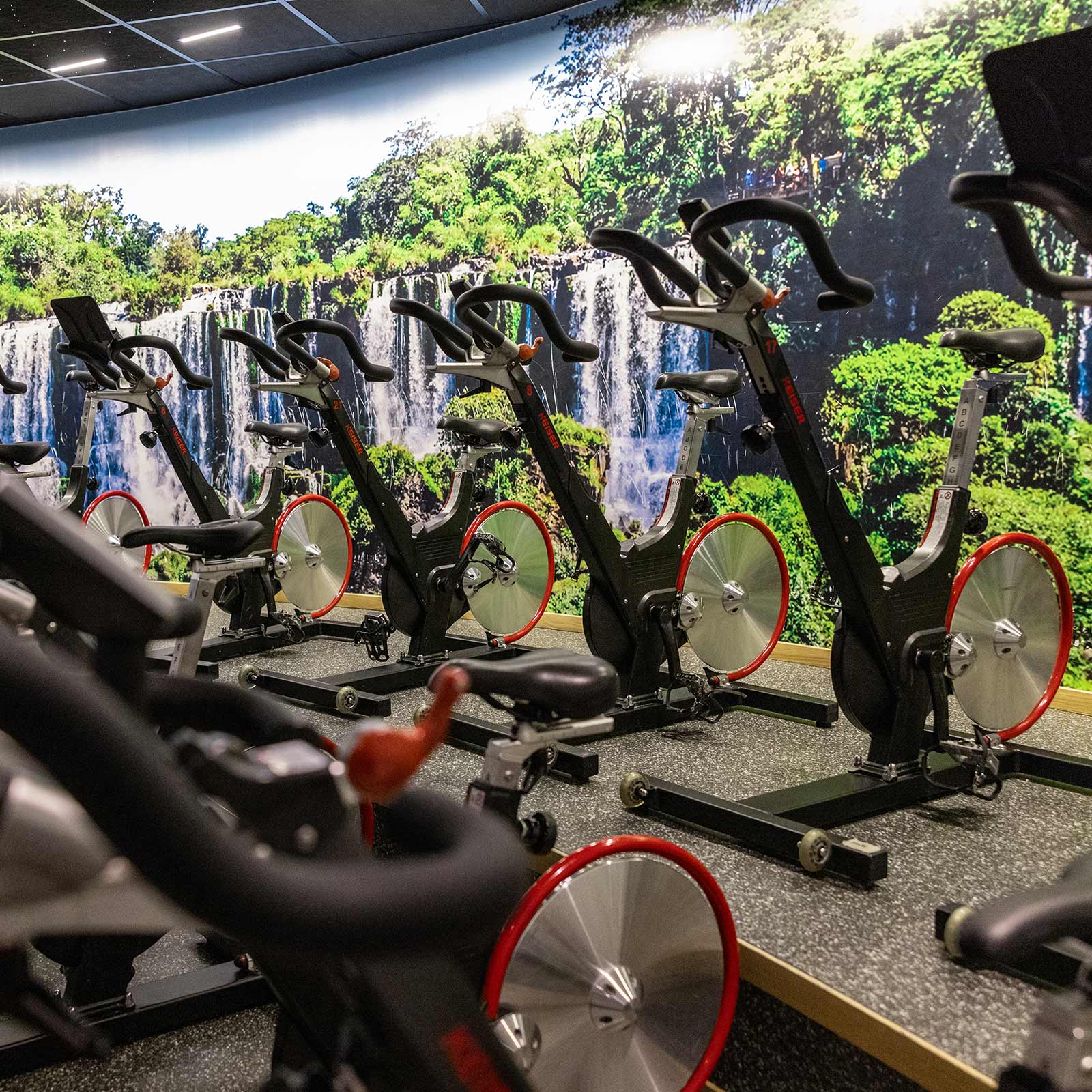 Bilde i bildegalleri