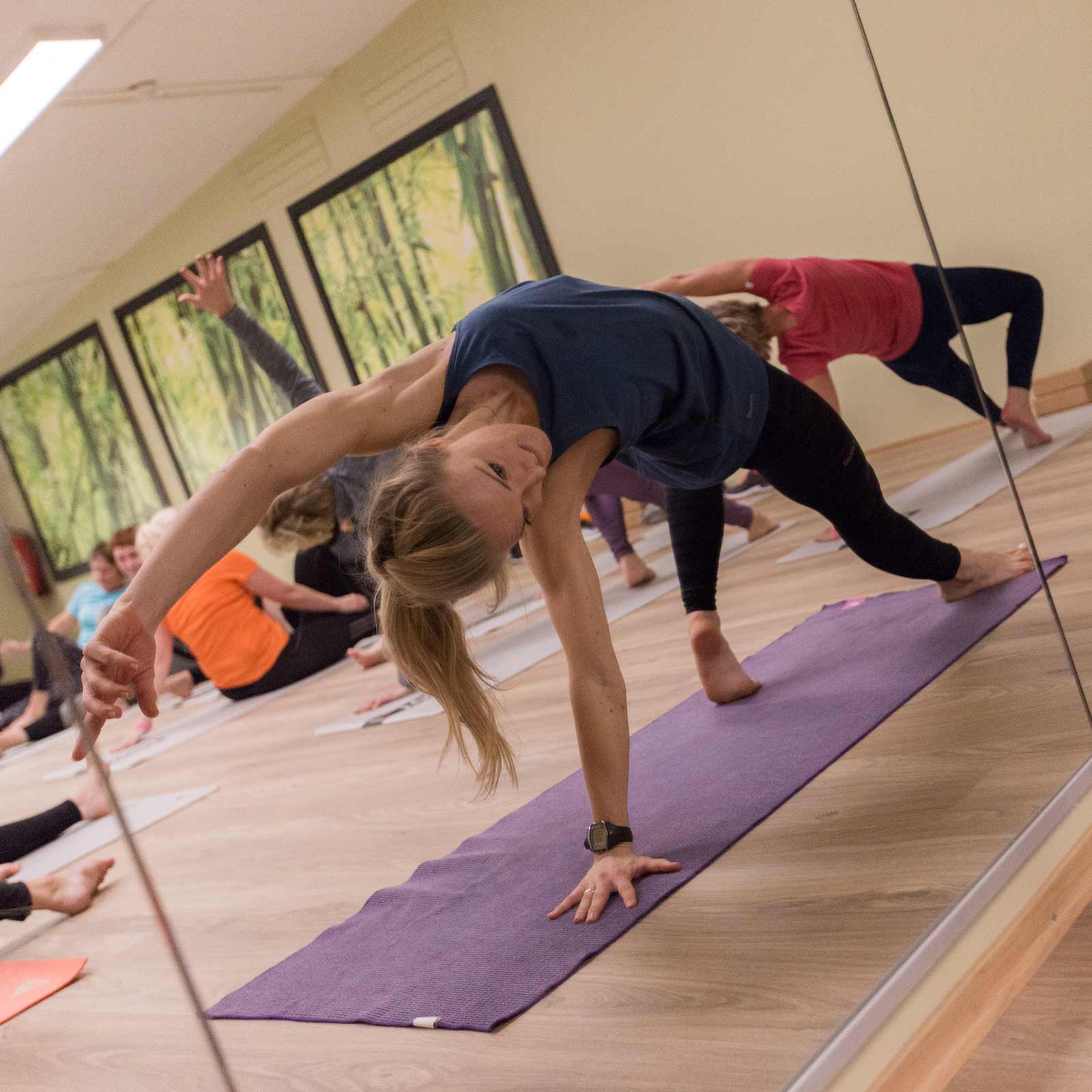 Bilde i bildegalleri