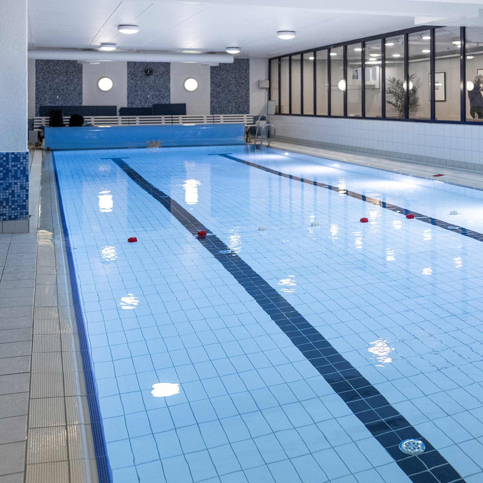 Bilde i bildegalleri