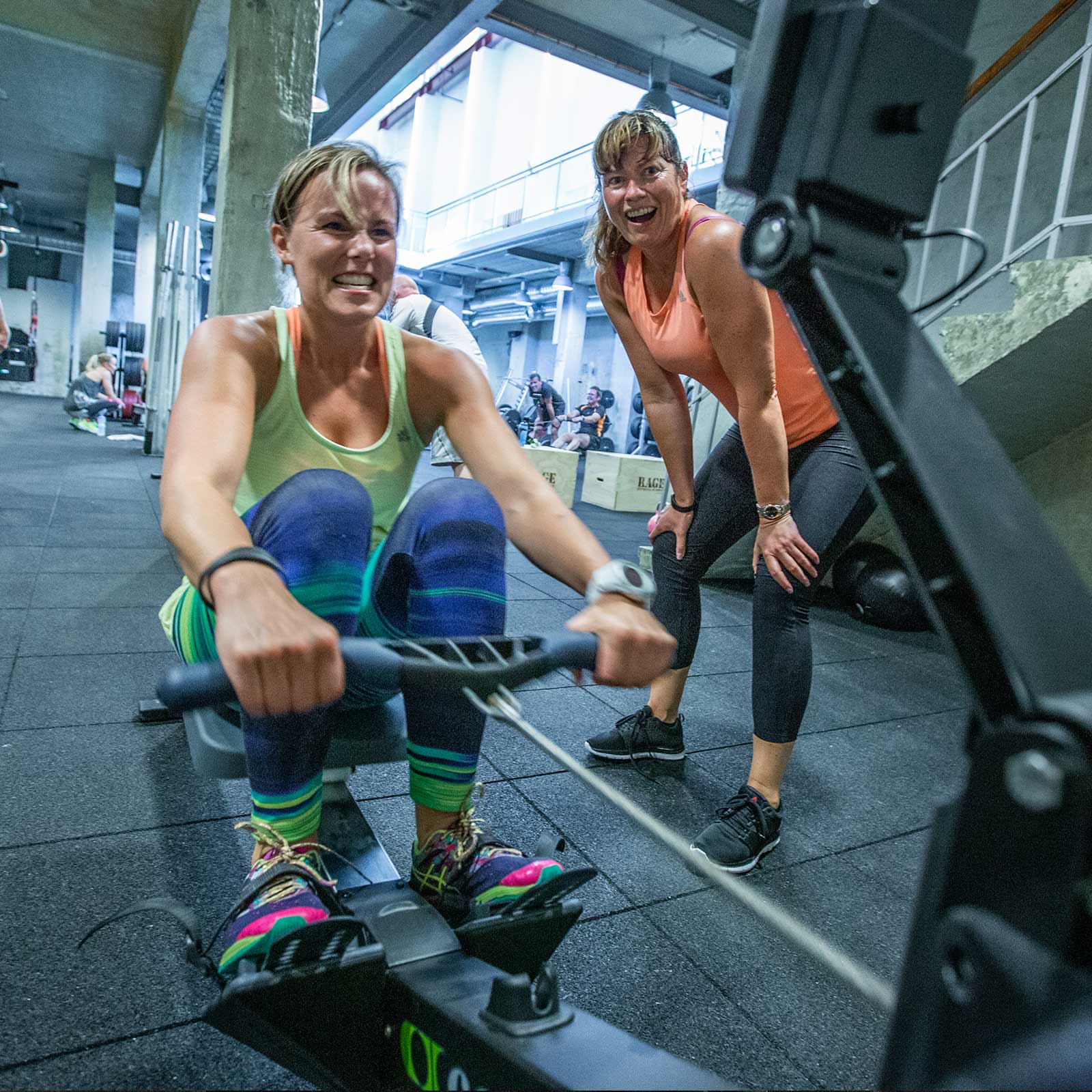 Bilde i bildegalleri