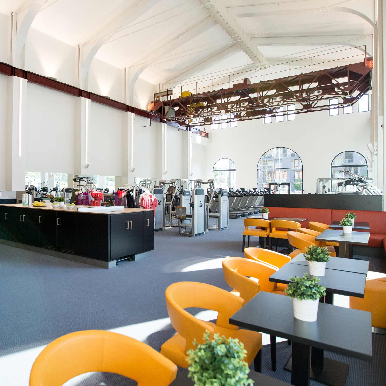 Bilde i bildegalleri