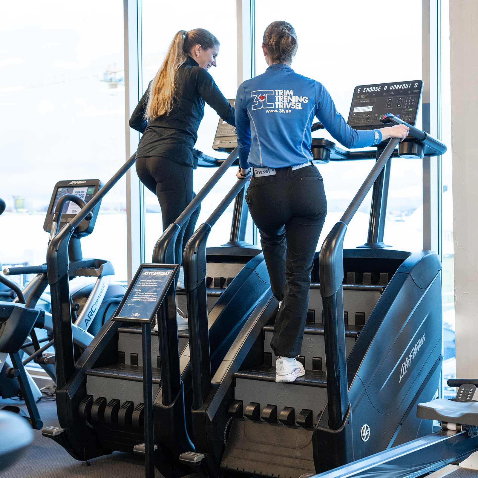 Bilde i bildegalleri