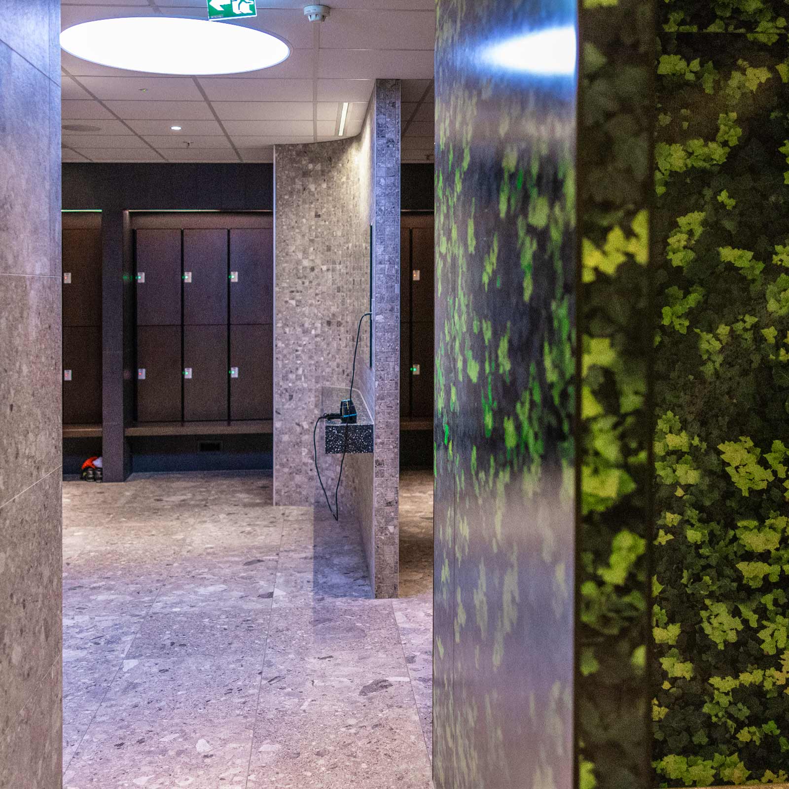 Bilde i bildegalleri