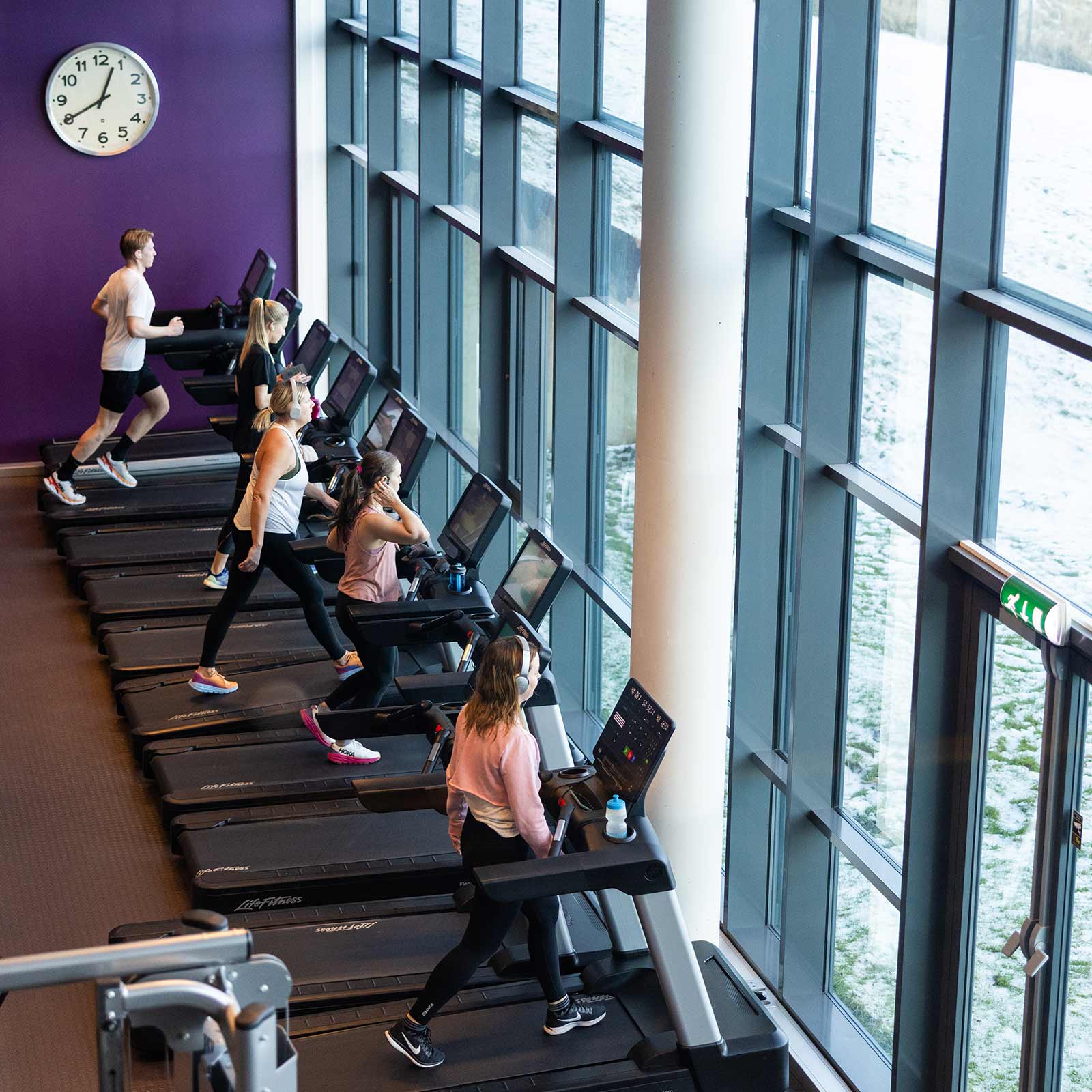 Bilde i bildegalleri