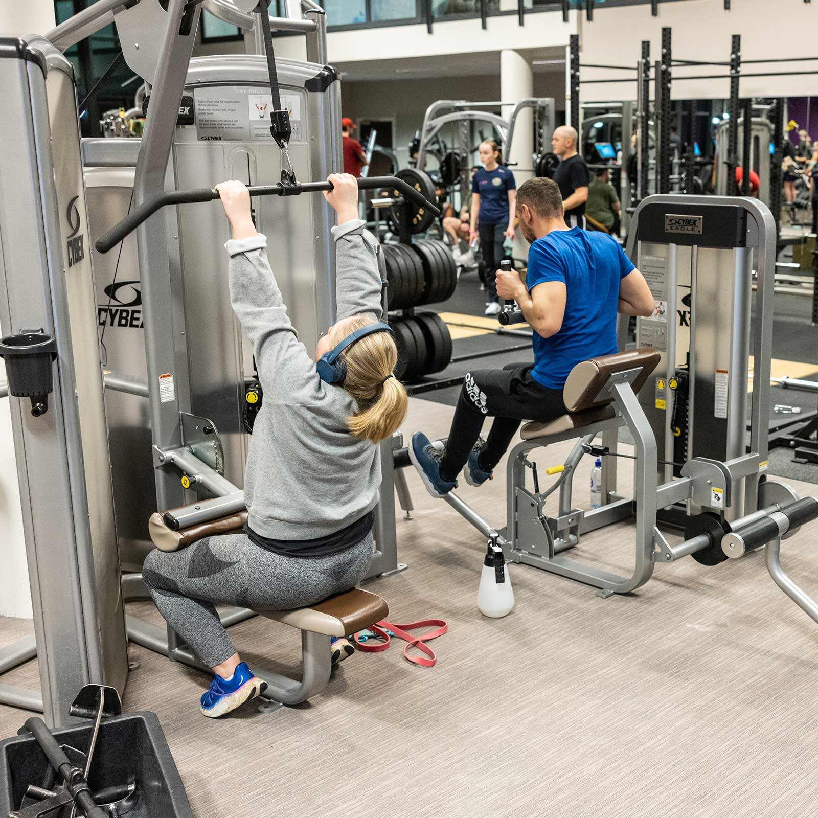 Bilde i bildegalleri