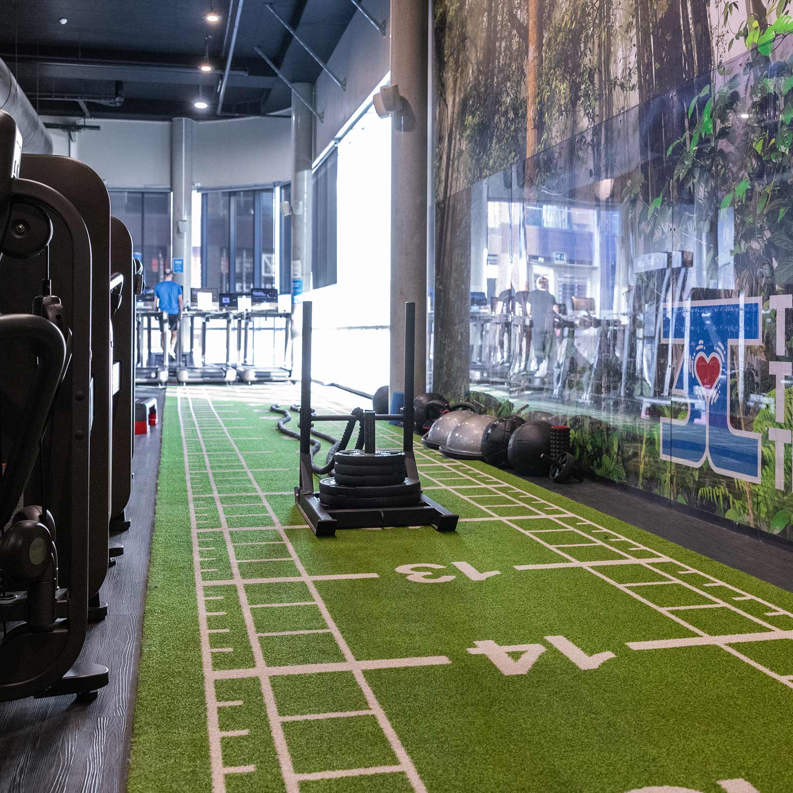 Bilde i bildegalleri