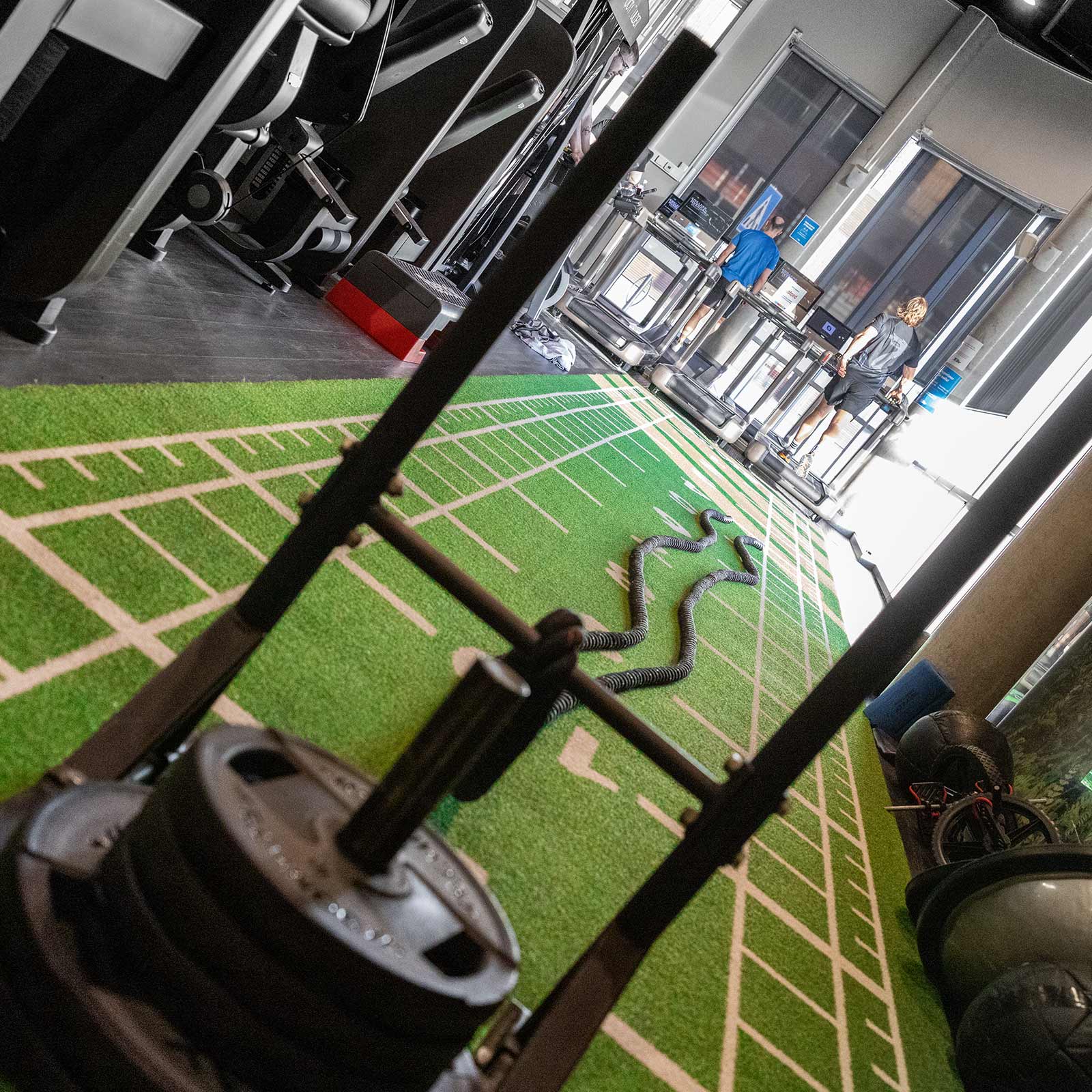 Bilde i bildegalleri