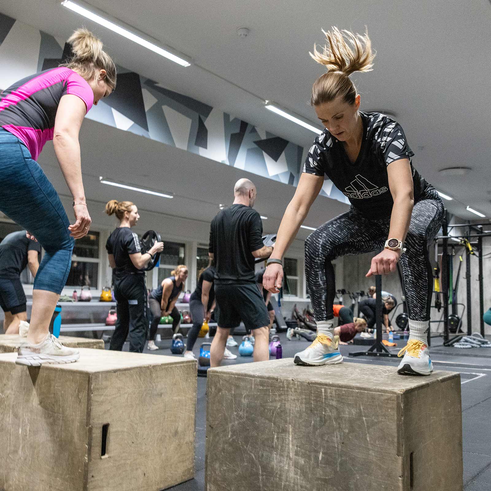 Bilde i bildegalleri