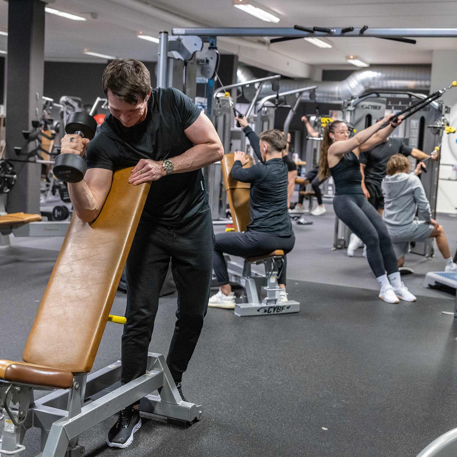 Bilde i bildegalleri