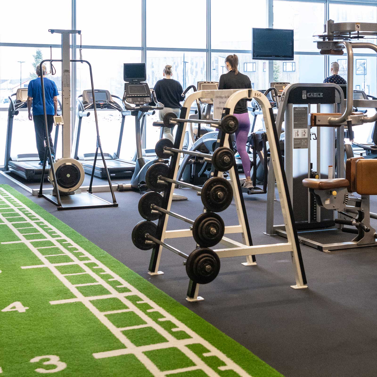 Bilde i bildegalleri