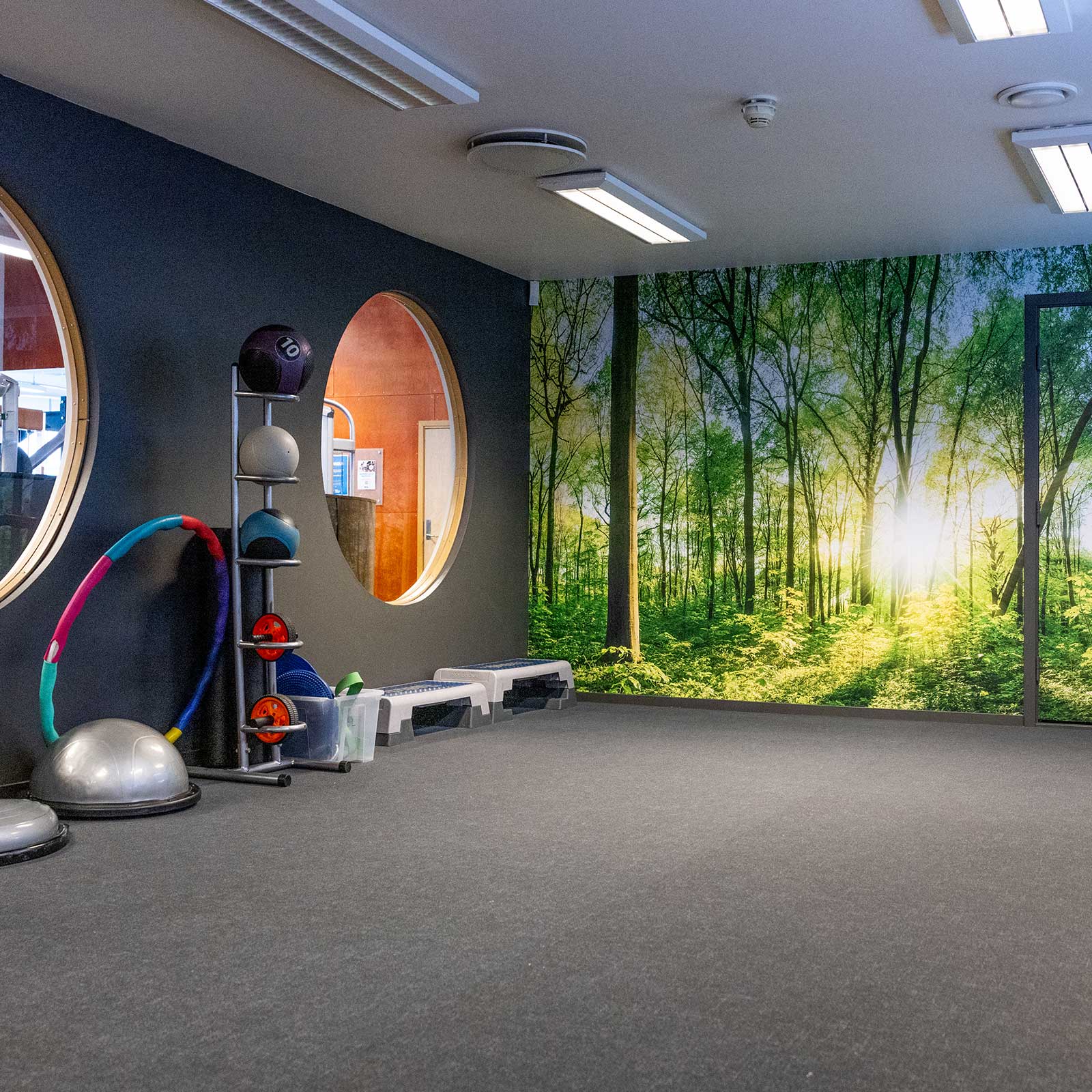 Bilde i bildegalleri