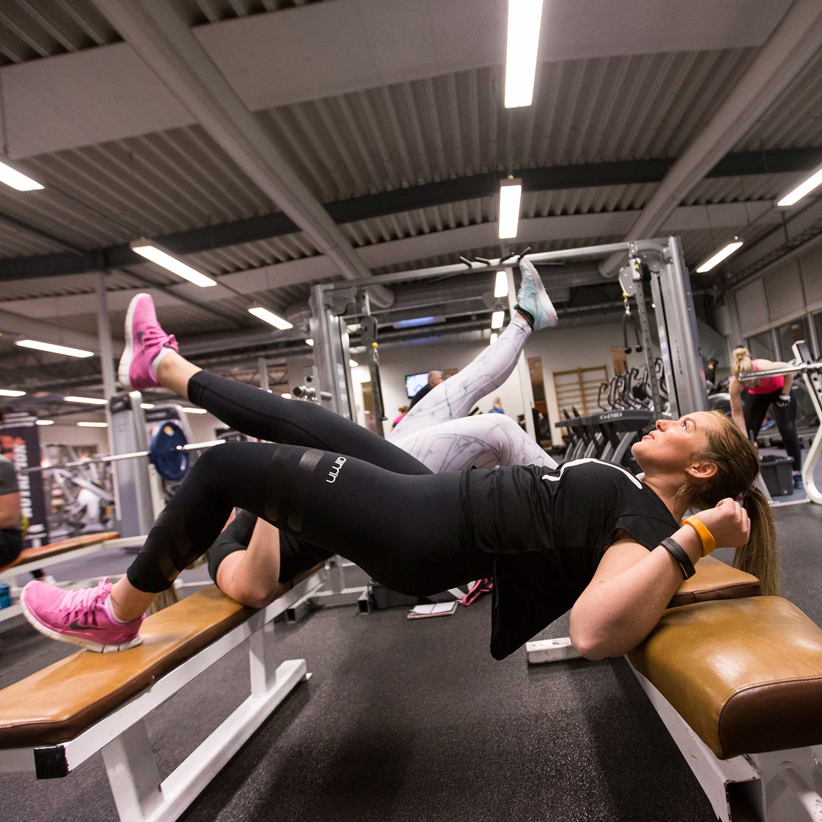 Bilde i bildegalleri