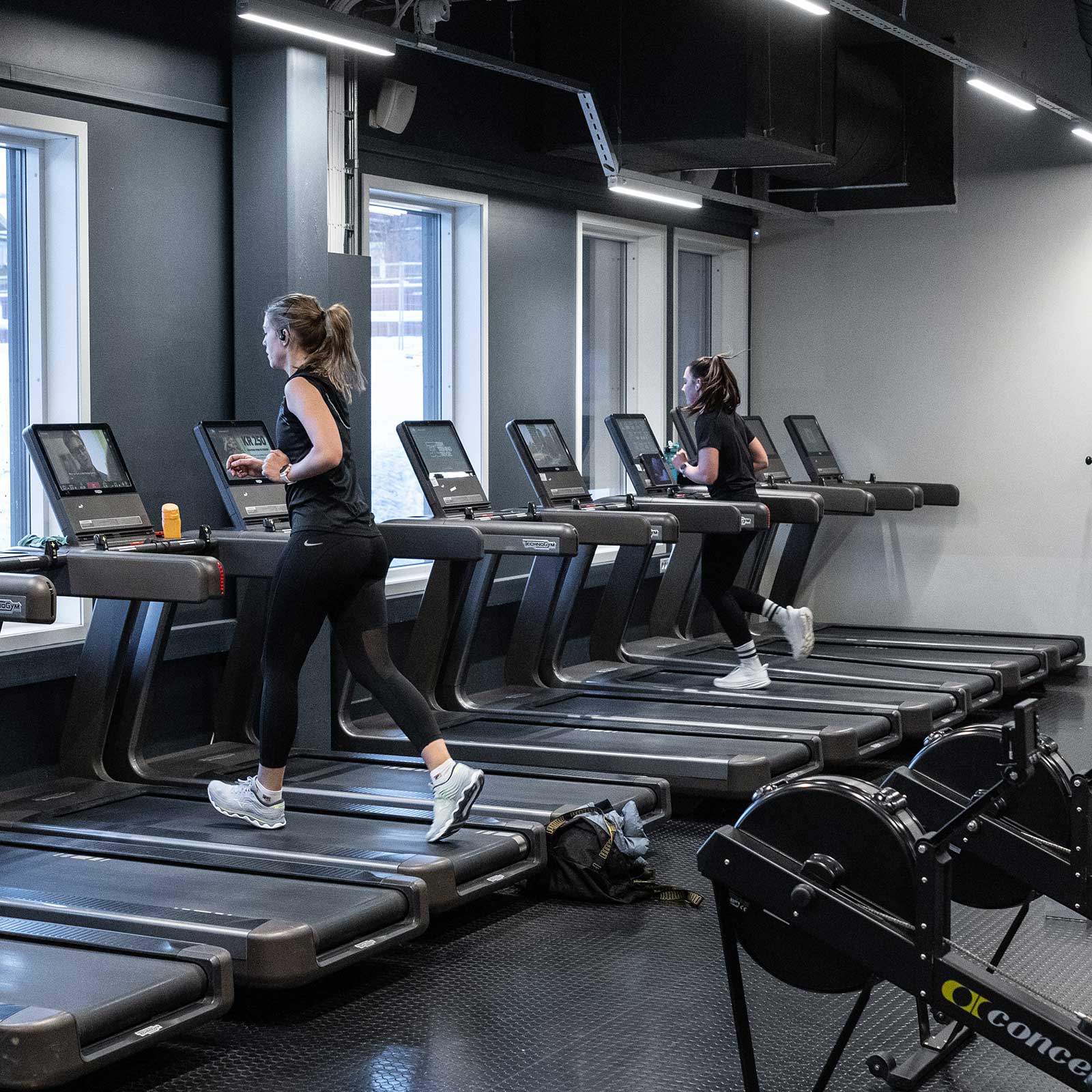 Bilde i bildegalleri