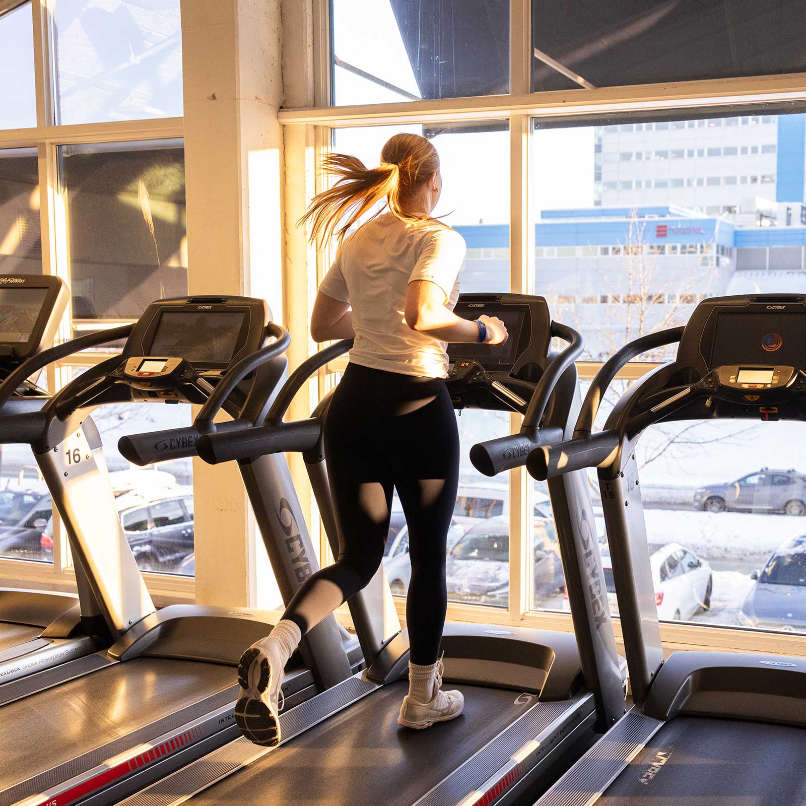 Bilde i bildegalleri