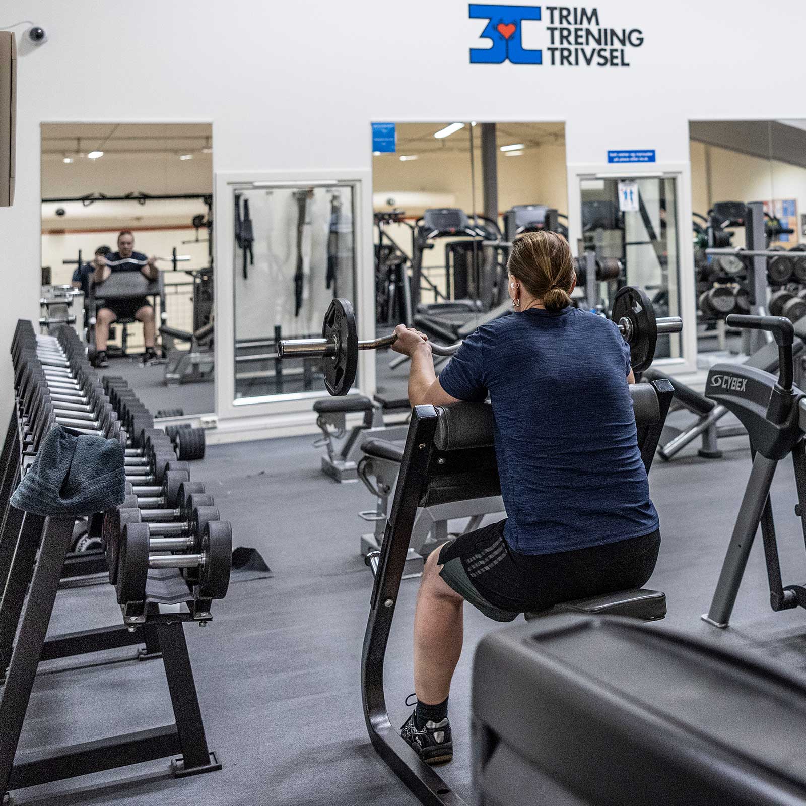 Bilde i bildegalleri