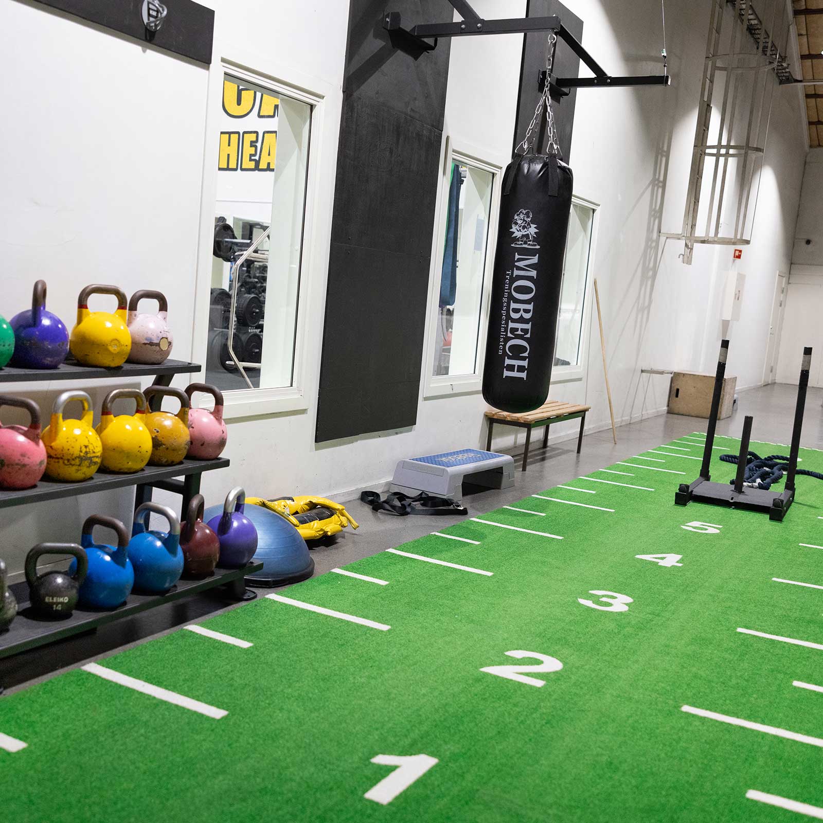 Bilde i bildegalleri