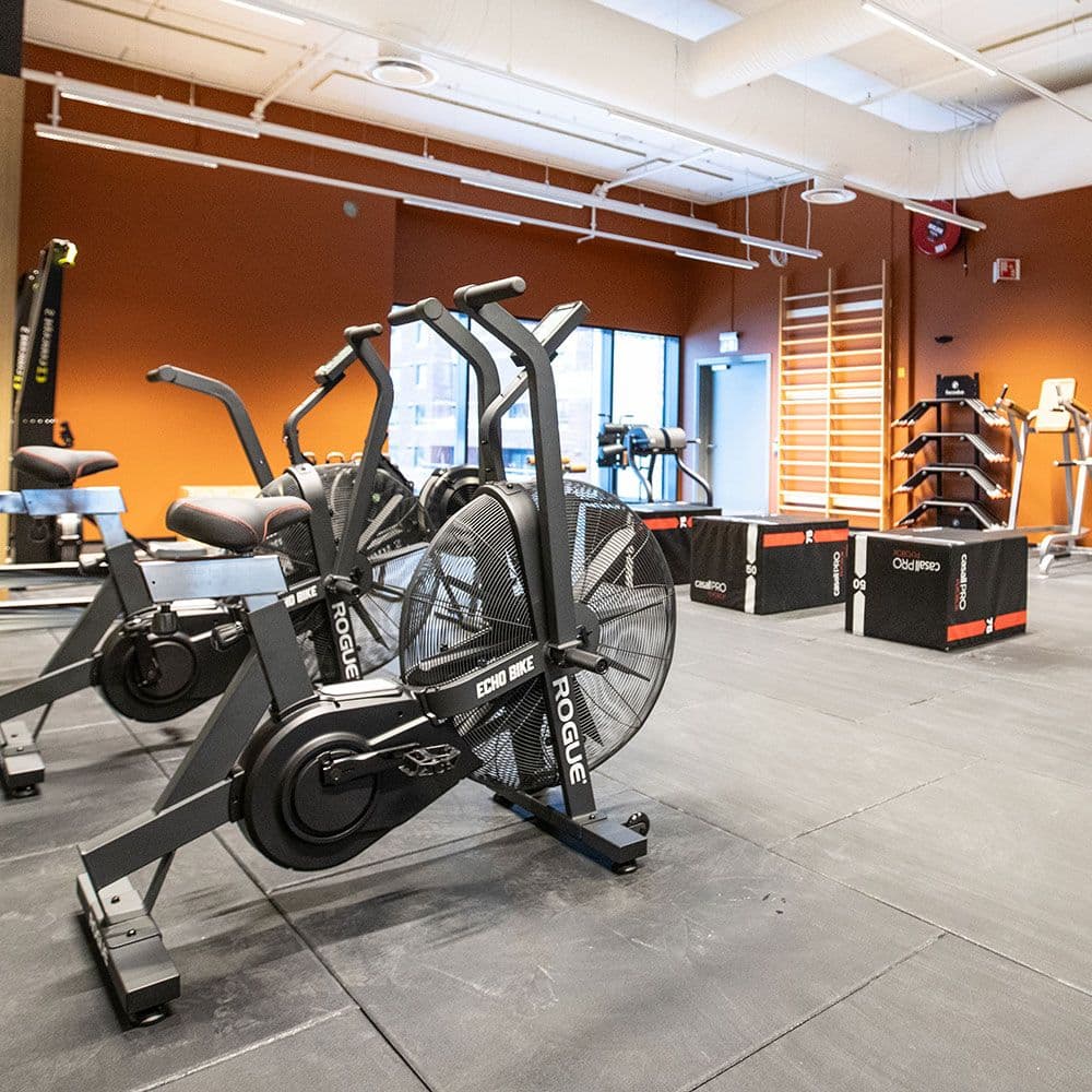 Bilde i bildegalleri