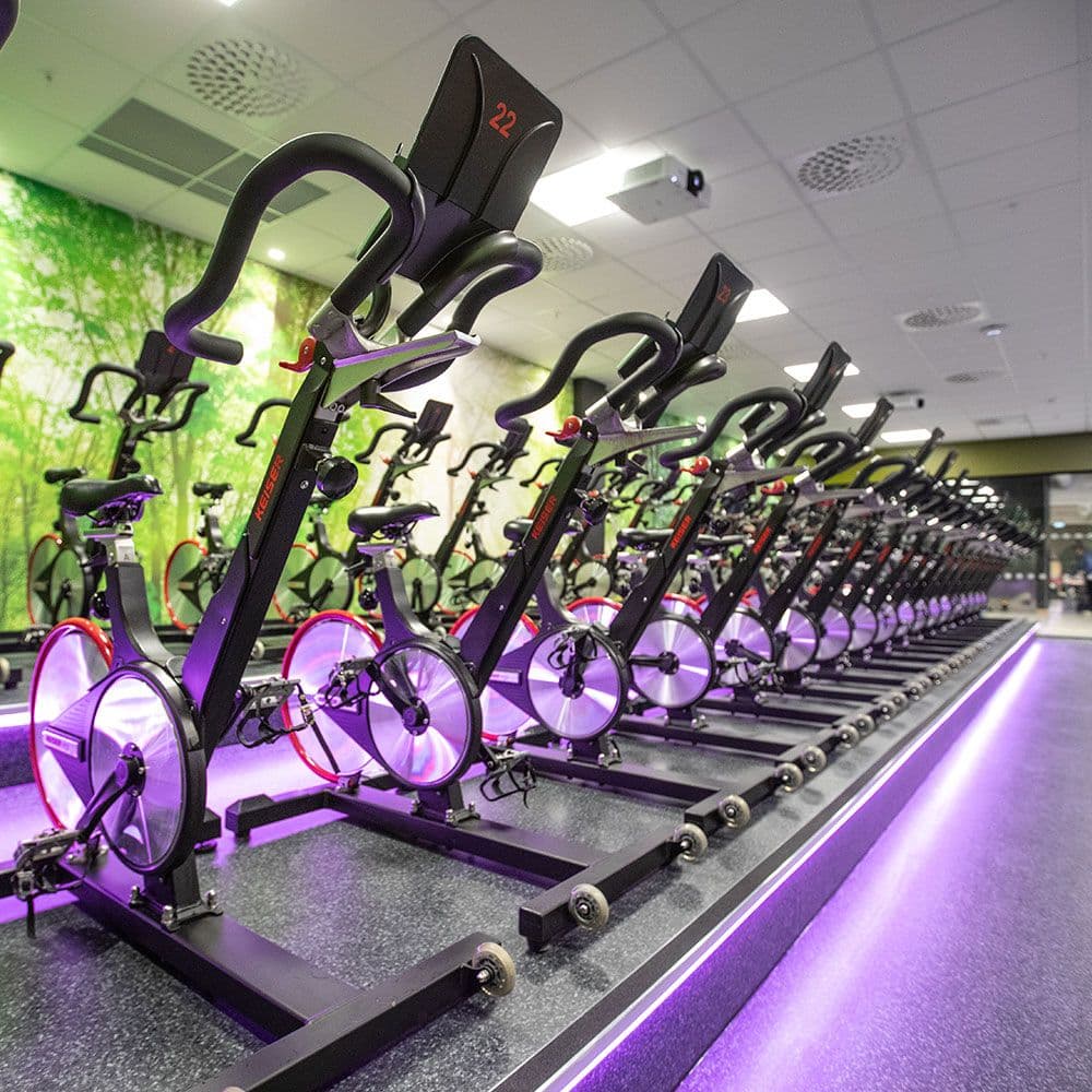 Bilde i bildegalleri