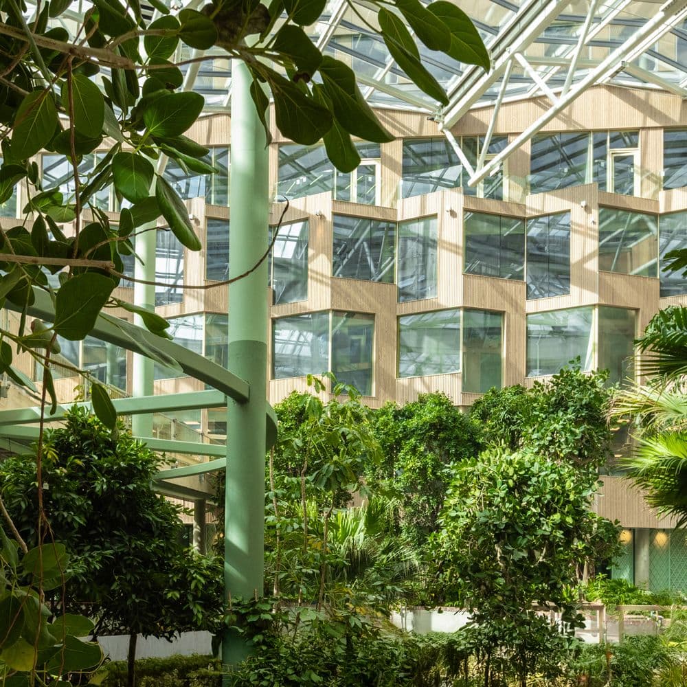 Bilde i bildegalleri