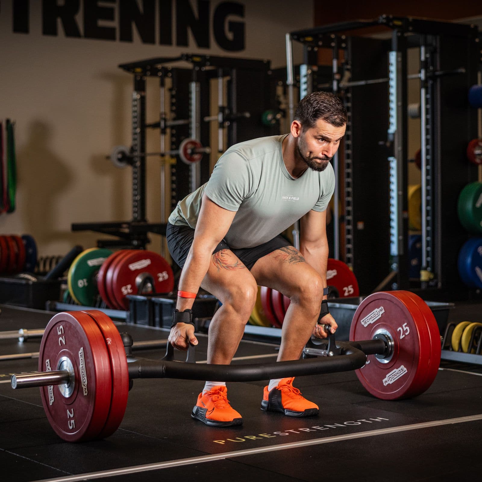 Bilde i bildegalleri