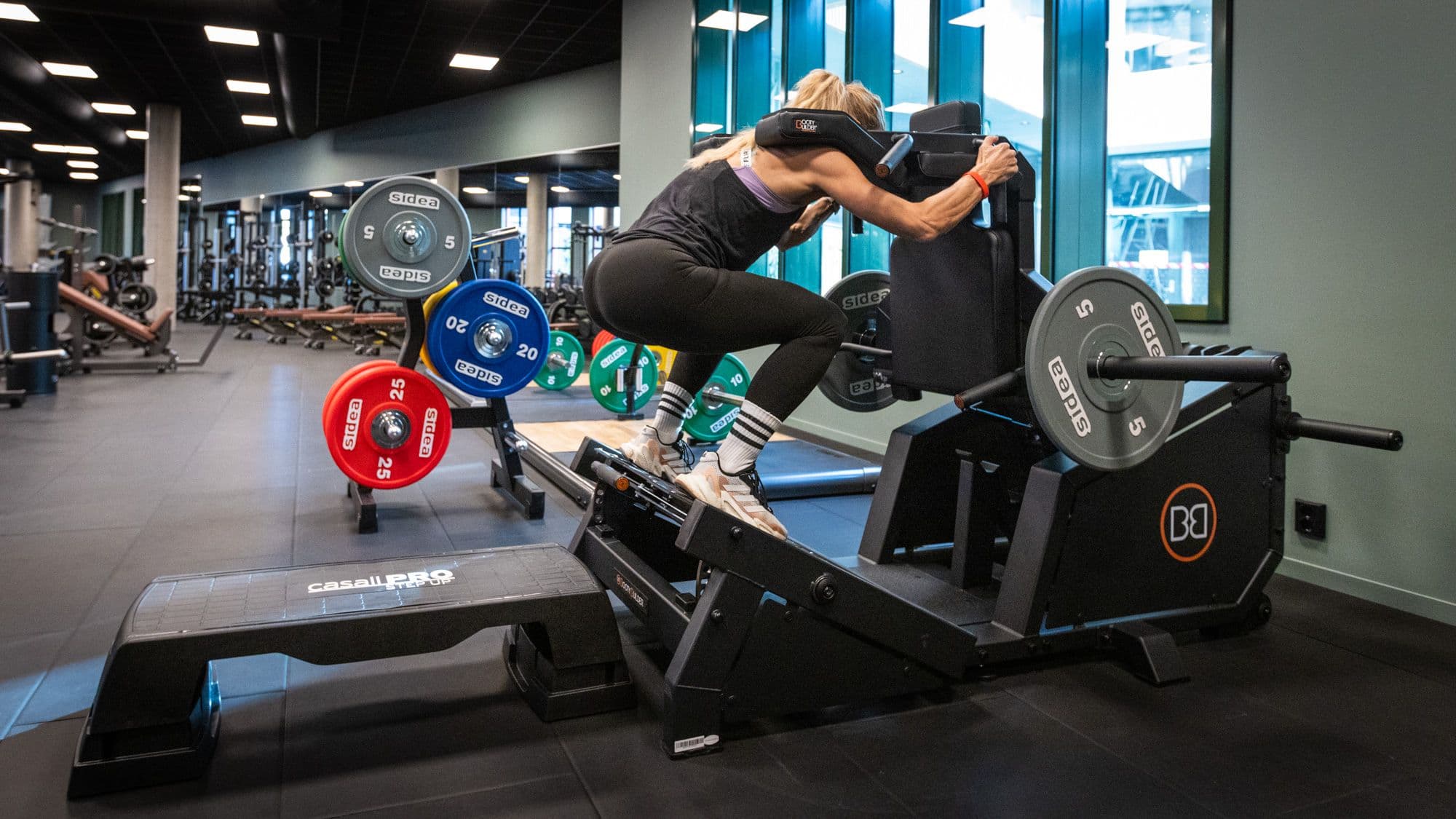 Bilde i bildegalleri