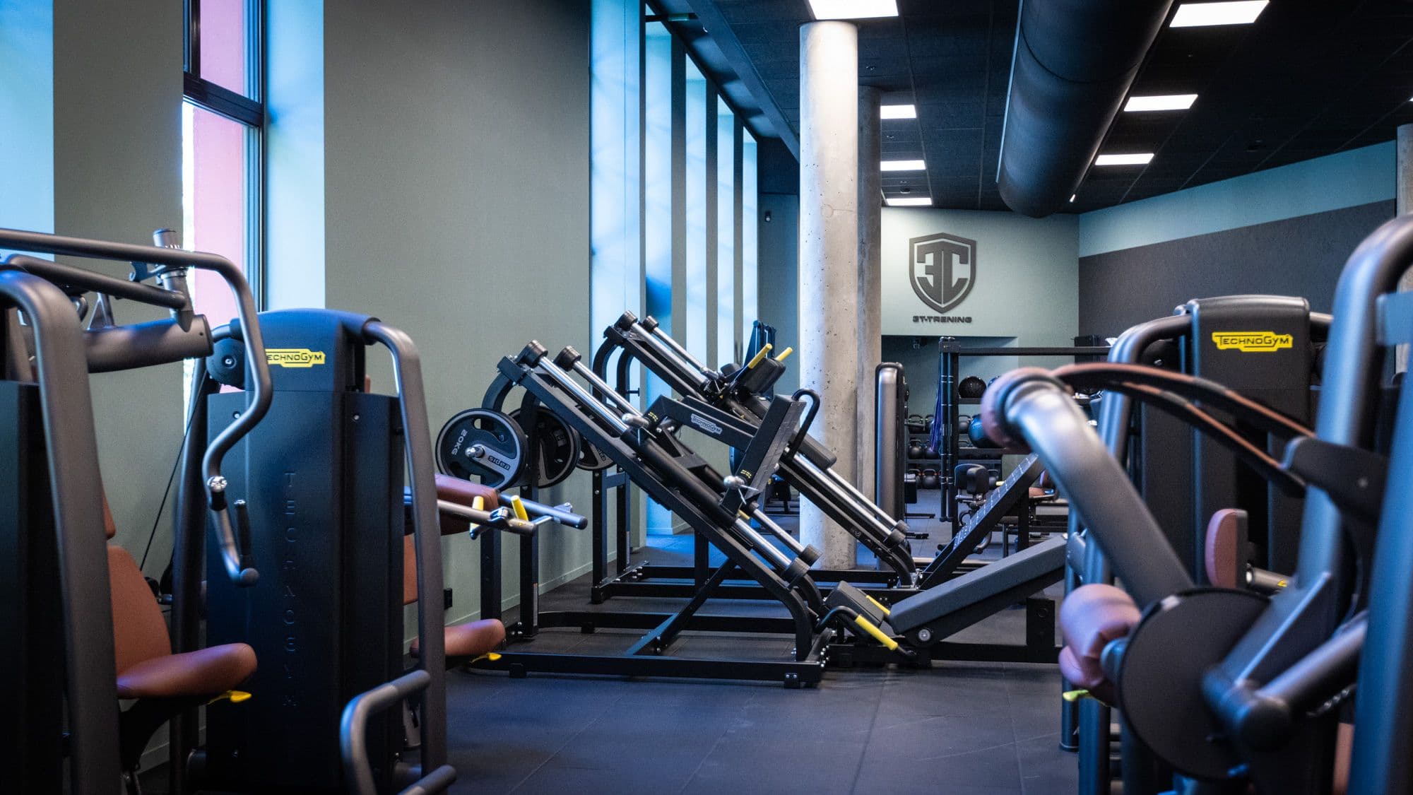 Bilde i bildegalleri