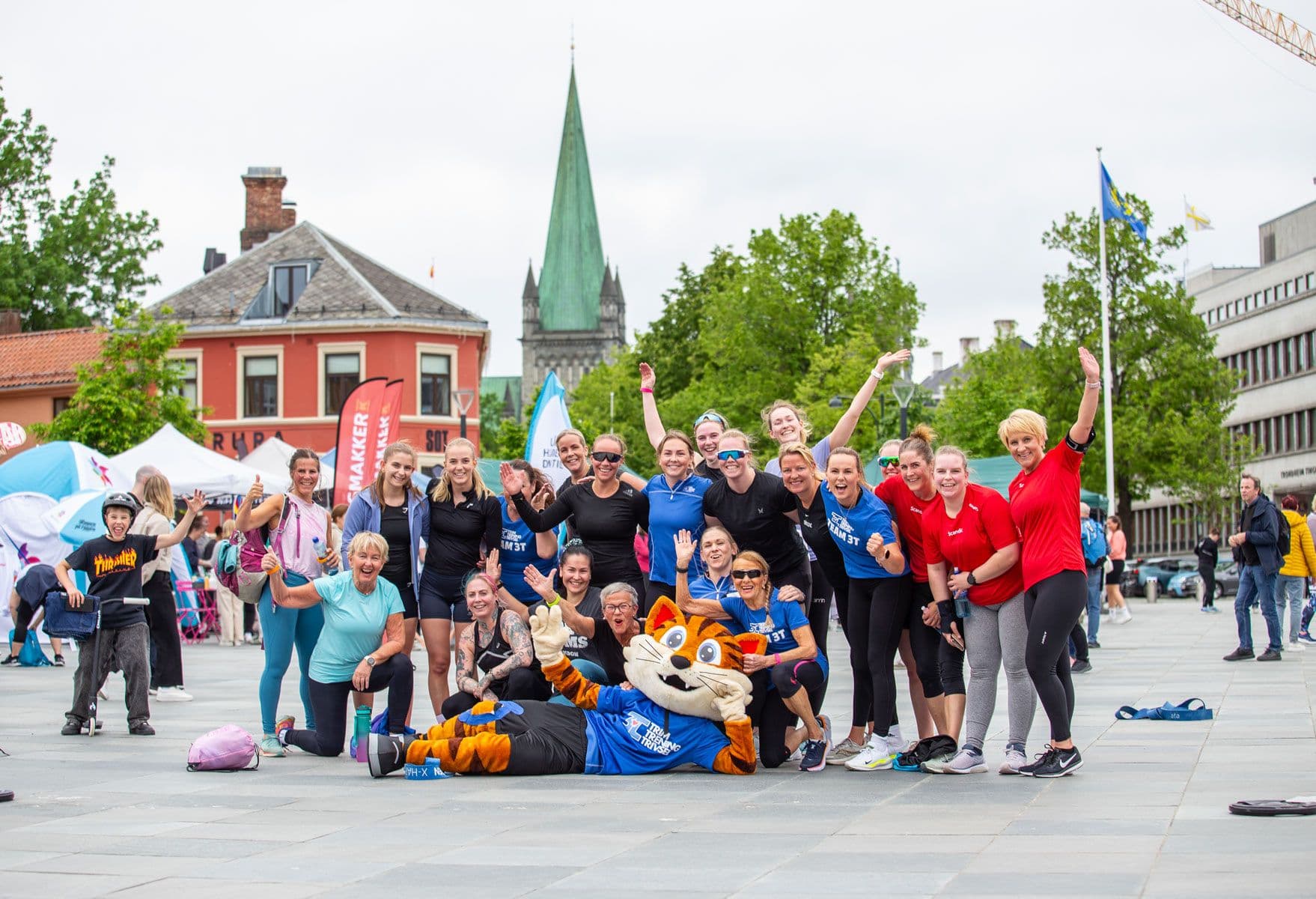 Bilde i bildegalleri