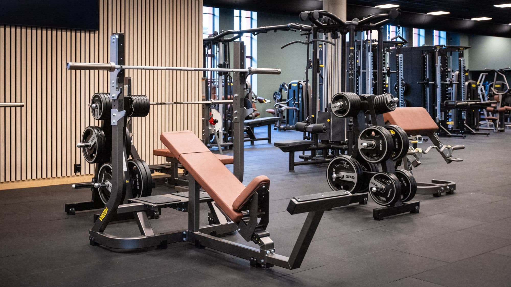 Bilde i bildegalleri