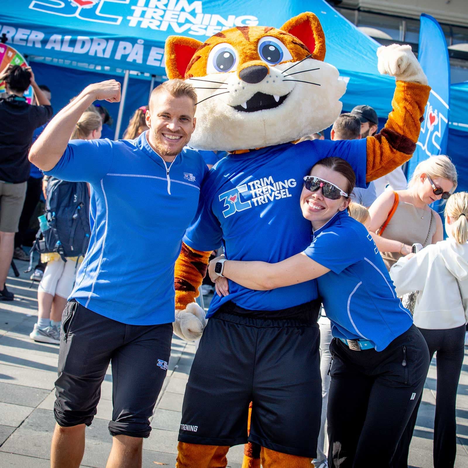 Bilde i bildegalleri