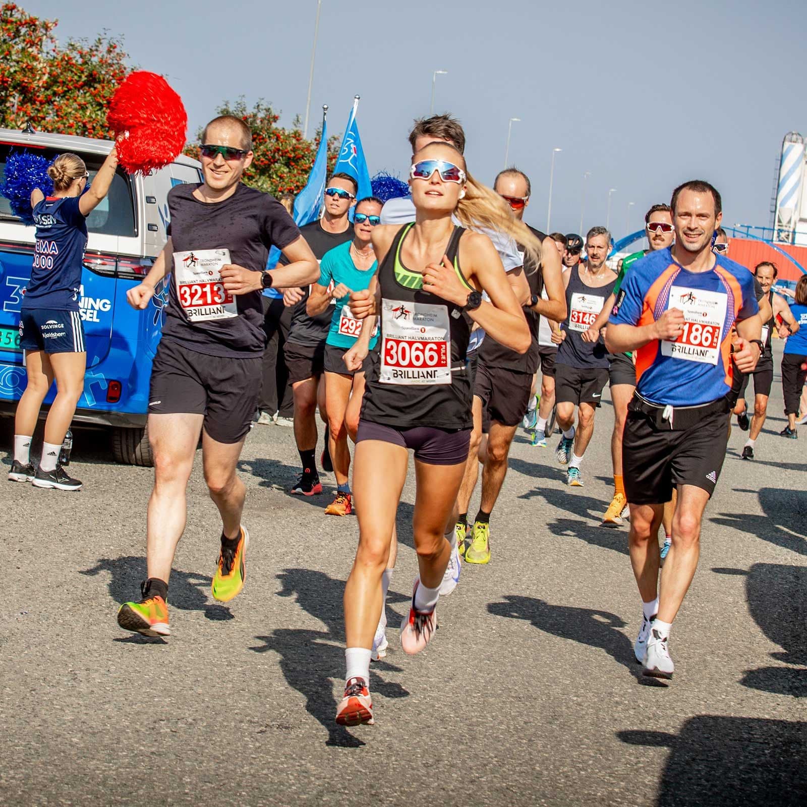 Bilde i bildegalleri